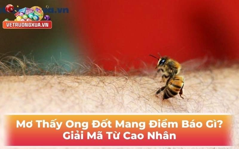 Mơ Thấy Ong Đốt Điềm Báo Gì? Giải Mã Từ Cao Nhân