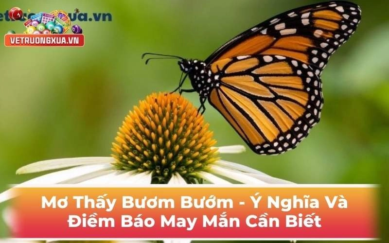 Mơ Thấy Bướm Bướm - Ý Nghĩa Và Điềm Báo May Mắn Cần Biết
