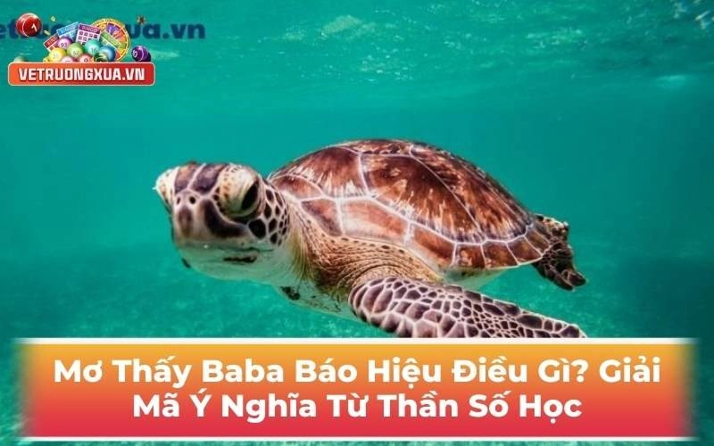 Mơ Thấy Baba Báo Hiệu Điều Gì? Giải Mã Ý Nghĩa Từ Thần Số Học