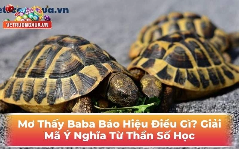 Mơ Thấy Baba Báo Hiệu Điều Gì? Giải Mã Ý Nghĩa Từ Thần Số Học