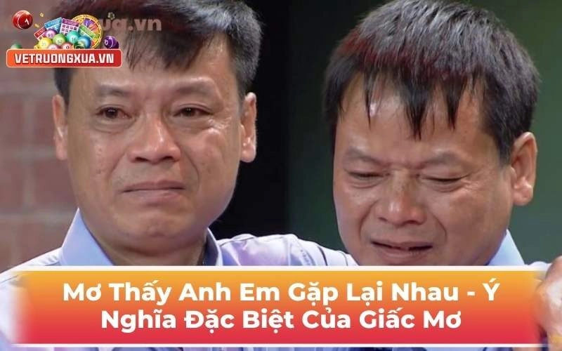 Mơ Thấy Anh Em Gặp Lại Nhau - Ý Nghĩa Đặc Biệt Của Giấc Mơ