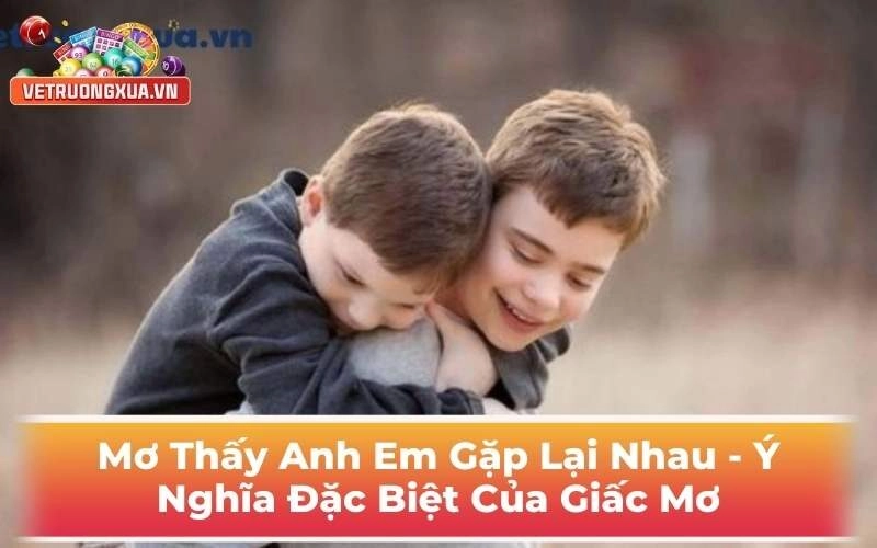 Mơ Thấy Anh Em Gặp Lại Nhau - Ý Nghĩa Đặc Biệt Của Giấc Mơ