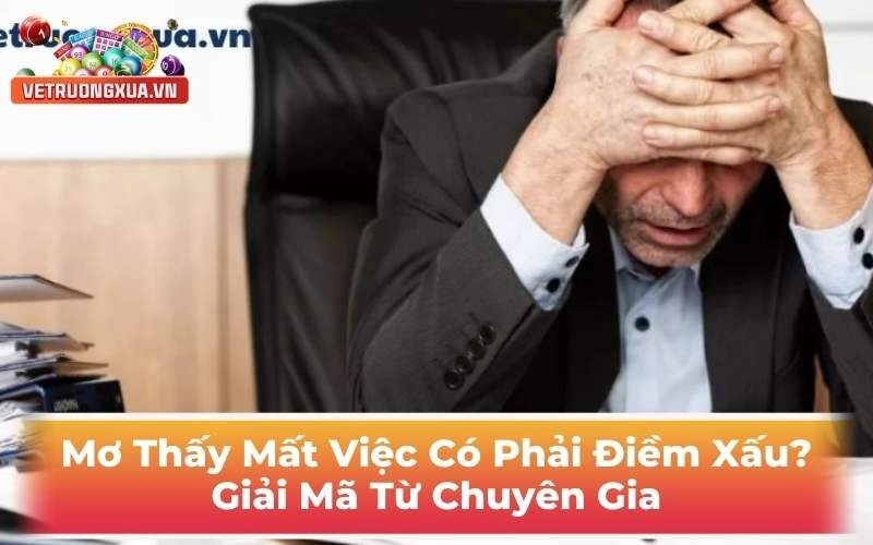 Mơ Thấy Mất Việc Có Phải Điềm Xấu? Giải Mã Từ Chuyên Gia
