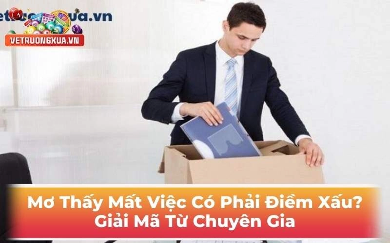 Mơ Thấy Mất Việc Có Phải Điềm Xấu? Giải Mã Từ Chuyên Gia