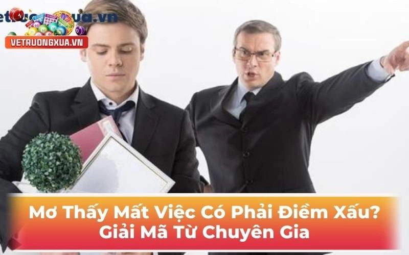 Mơ Thấy Mất Việc Có Phải Điềm Xấu? Giải Mã Từ Chuyên Gia