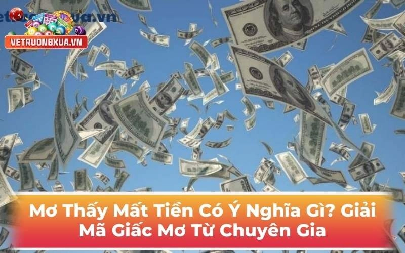 Mơ Thấy Mất Tiền Nó Ý Nghĩa Gì? Giải Mã Giấc Mơ Từ Chuyên Gia