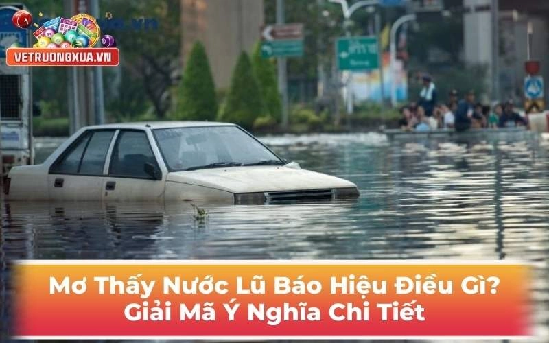 Mơ Thấy Nước Lũ Thì Báo Hiệu Điều Gì? Giải Mã Ý Nghĩa Chi Tiết
