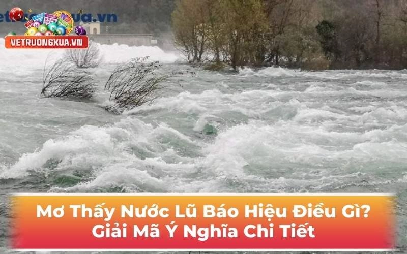 Mơ Thấy Nước Lũ Thì Báo Hiệu Điều Gì? Giải Mã Ý Nghĩa Chi Tiết