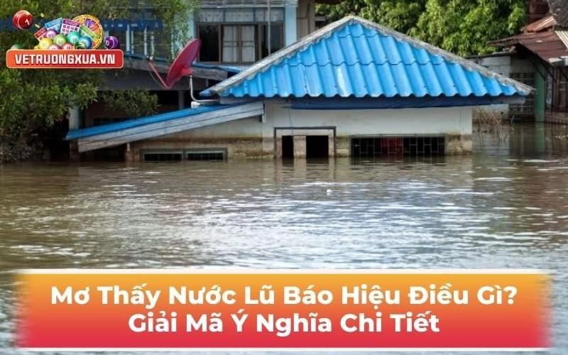Mơ Thấy Nước Lũ Thì Báo Hiệu Điều Gì? Giải Mã Ý Nghĩa Chi Tiết