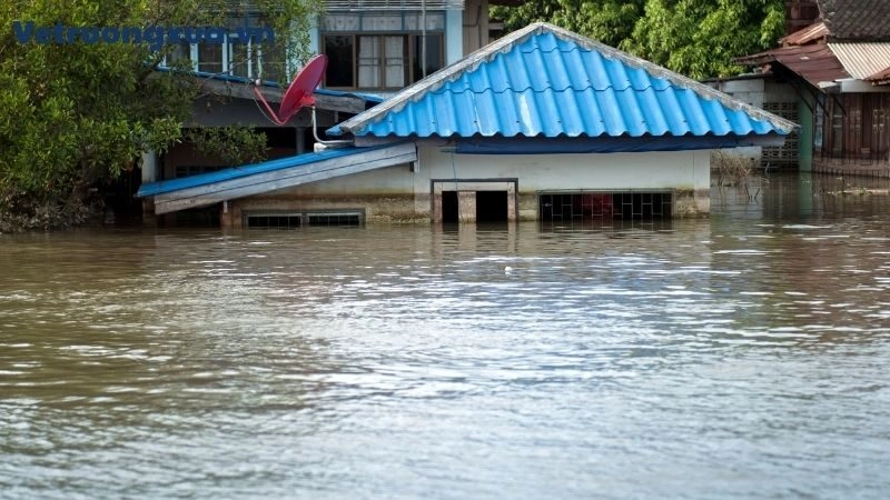 Mơ Thấy Nước Lũ