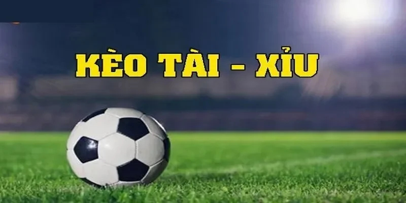 Kinh nghiệm soi kèo tài xỉu bóng đá: Chiến lược nâng cao tỷ lệ thắng